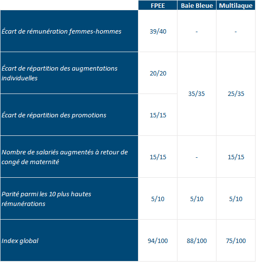 Tableau Index FPEE 2024